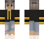 aspen north