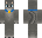 boy kitten