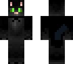 cahse the cat