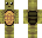 turtle