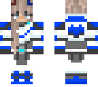 the blue paladin partner