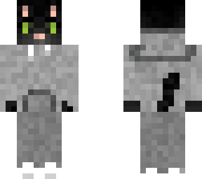 cat in hoodie