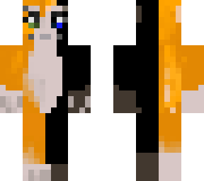 black and orange cat