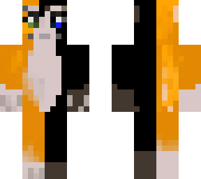 black and orange cat