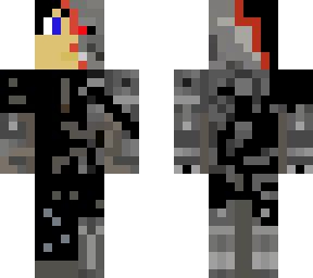 the cyborg terminator