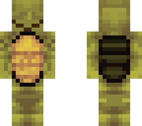 turtle