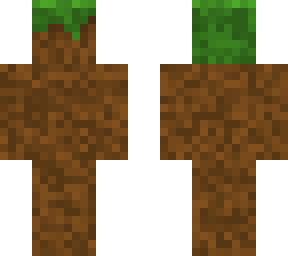 dirt