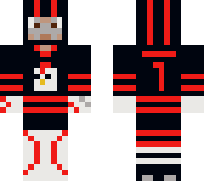 plucks hockey goalie 1