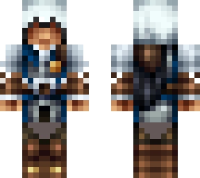 assassins creed skin (not mine i just did the top section)