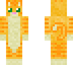orange cat