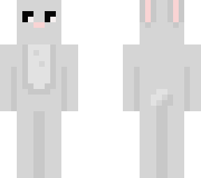 gray bunbun