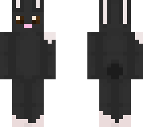 r.i.p gelileo. my rabbit. please read.