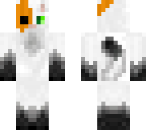 spoopy cat