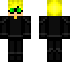 chat noir