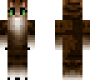 kitty