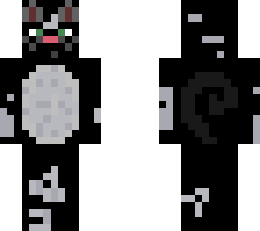 cute black  and white cat