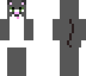kitty