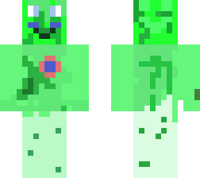mr. flower