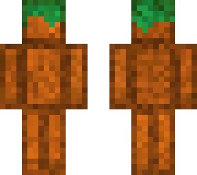 a cute dirt block