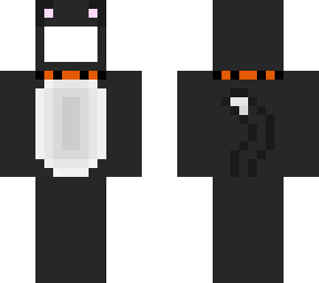 cat costume