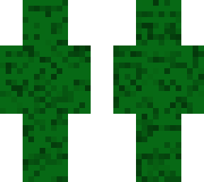 cactus skin