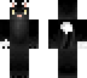 a cat