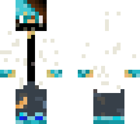 iceninja