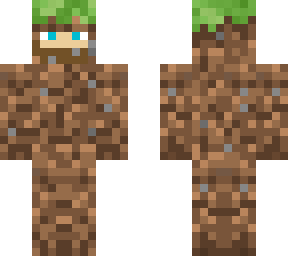 ninja dirt