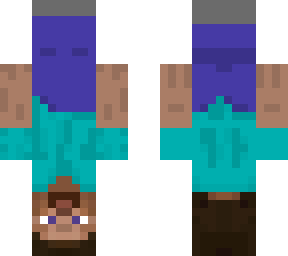 upside down steve