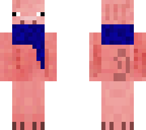 dark blue scarfed pig