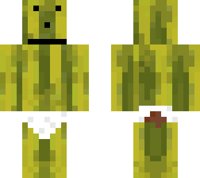 derp melon | Minecraft Skin