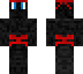 mr. ninja