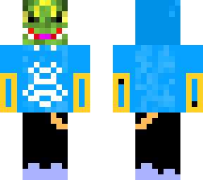 ninja spy quaza