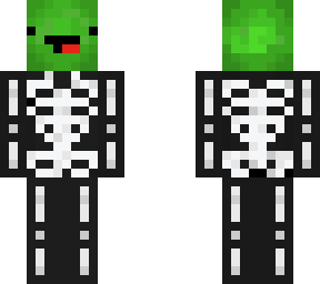 skely turtle