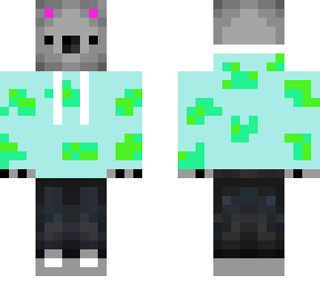 koala  cool