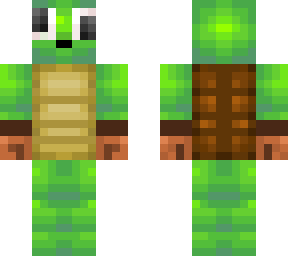 custom turtle 2