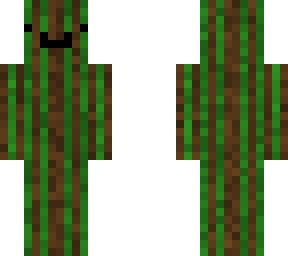 noob skin