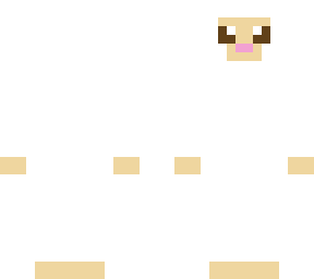 adorable sheep