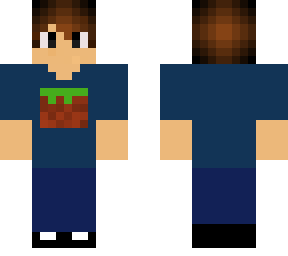 minecraft fan
