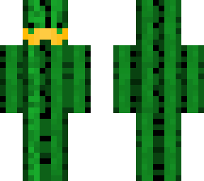 orange mustache cactus