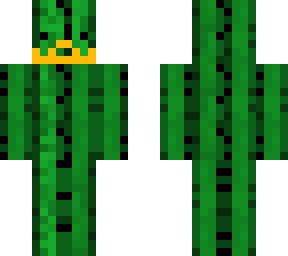 mustache and beard cactus orange