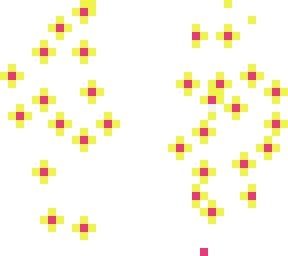 flower petals