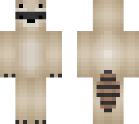 racoon