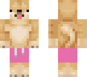 doge in pink pants