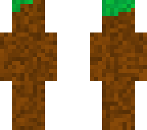 dirt and grass block