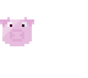pig