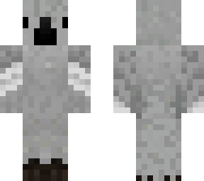 gray parrot modified