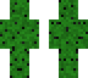 cactus joe