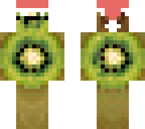 xmas kiwi