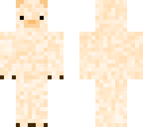 kermode bear